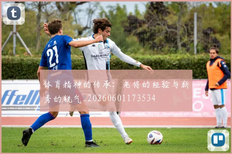 体育精神的传承:老将的经验与新秀的锐气_20260601173534