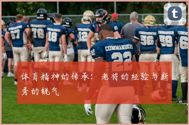 体育精神的传承:老将的经验与新秀的锐气